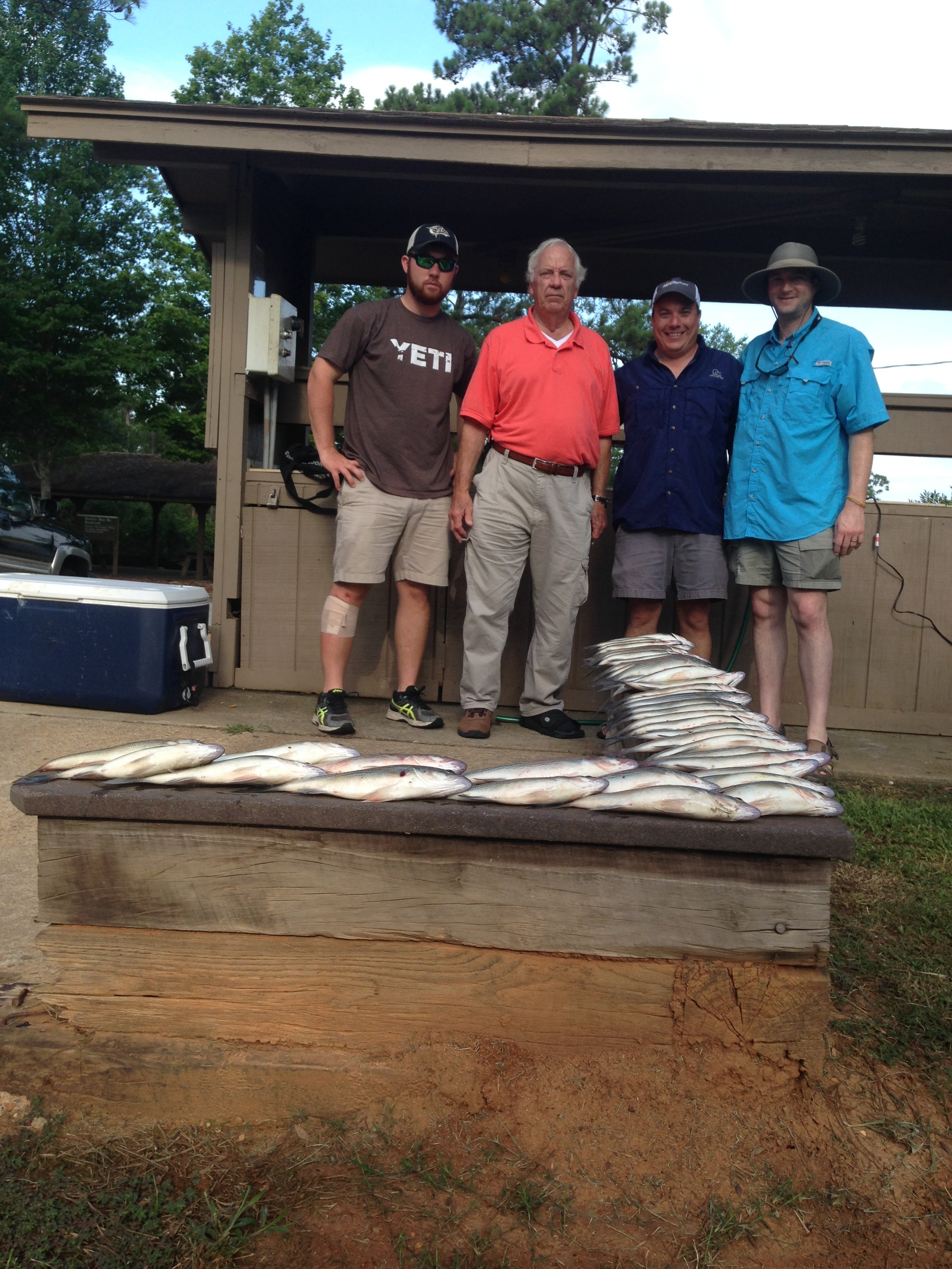 Brandon Poole, Bob Evans and Brent Lake with their 40 stripers and hybrid