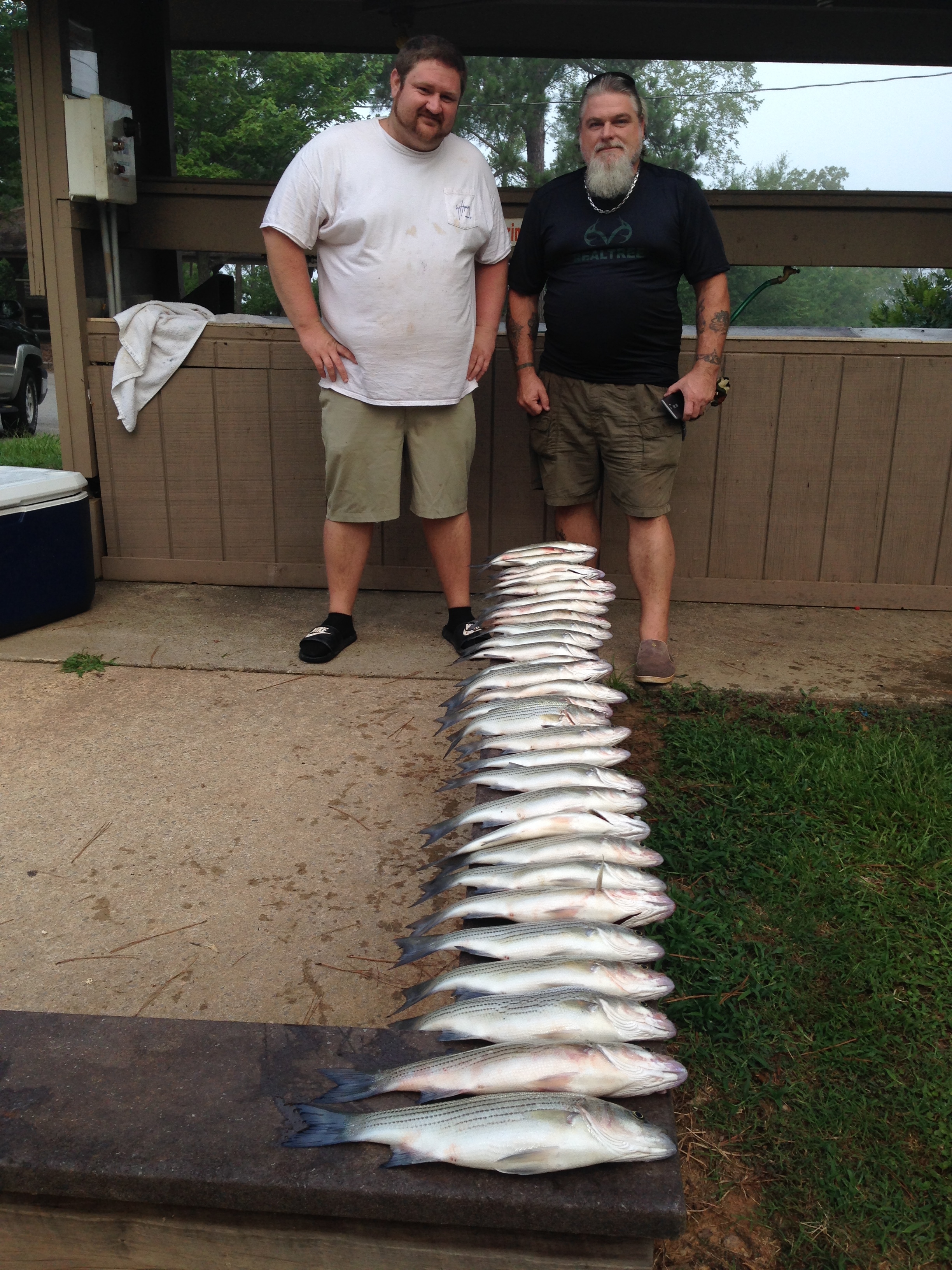July 3, 2017Cletus Stamper and Steven Guinn from Washington, Ga with their limit of stripers and hybrids.