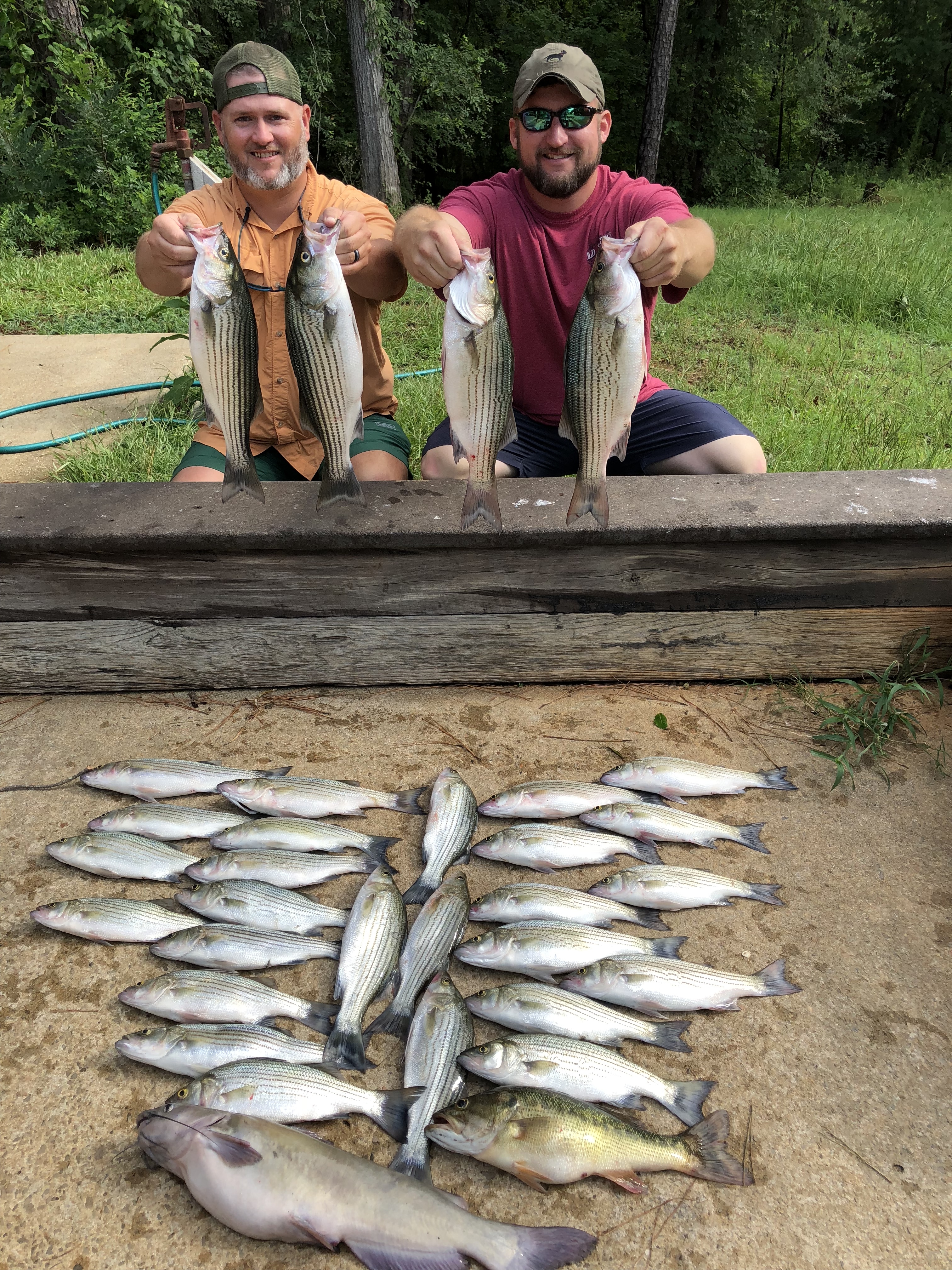 June 27, 2018 Brandon Brannen and Chris Dye with their limit of stripers and hybrids.IMG_2240