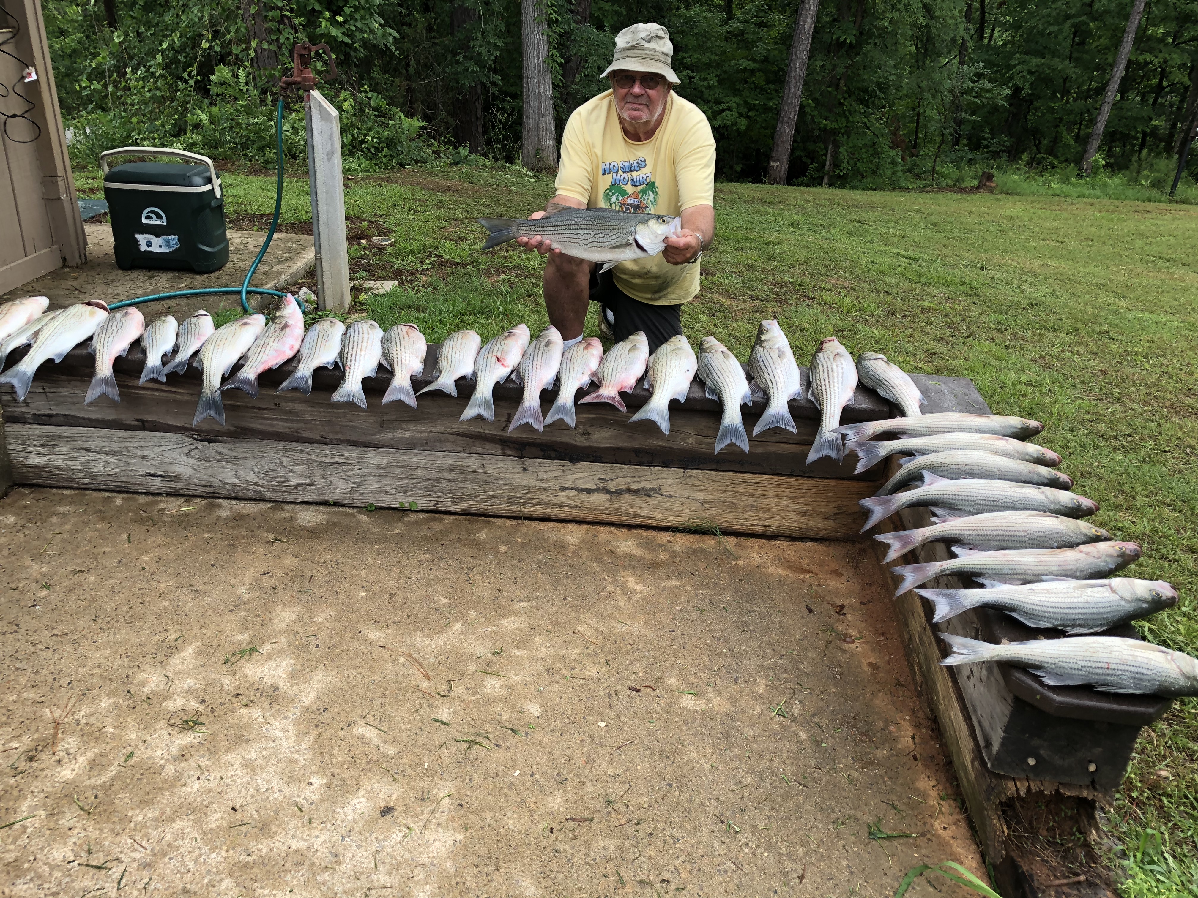 May 23, 2018 Ray Dowdy with 30 stripers and hybrids IMG_2133