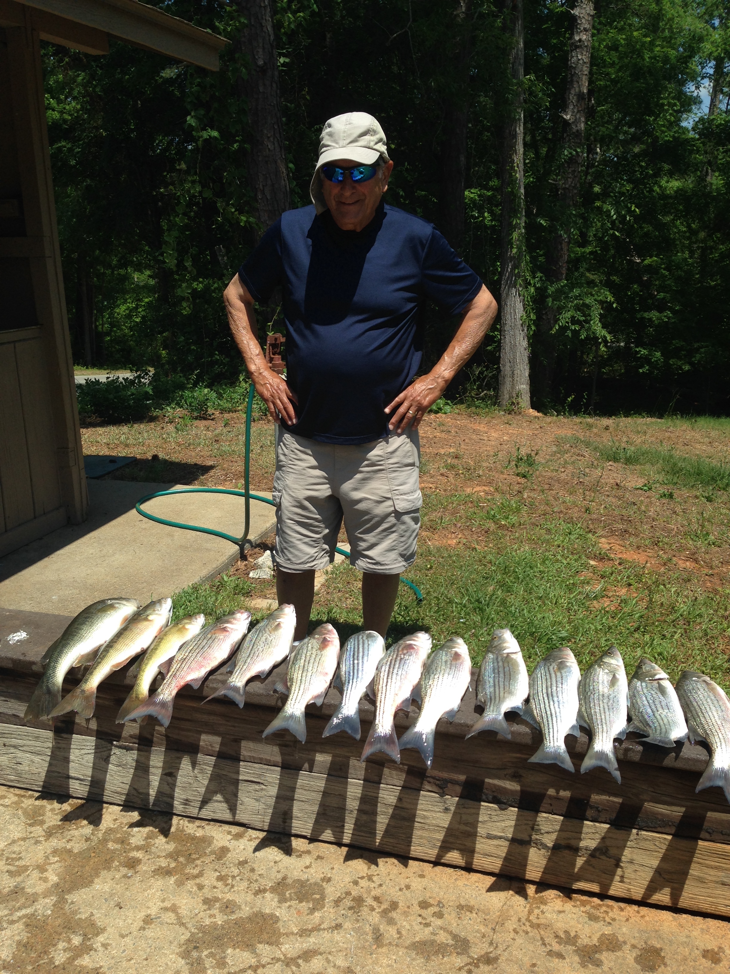 May 9, 2018 Dave Chiera of Augusta,Ga with his nice catch of stripers, hybrid and large mouth bass.
